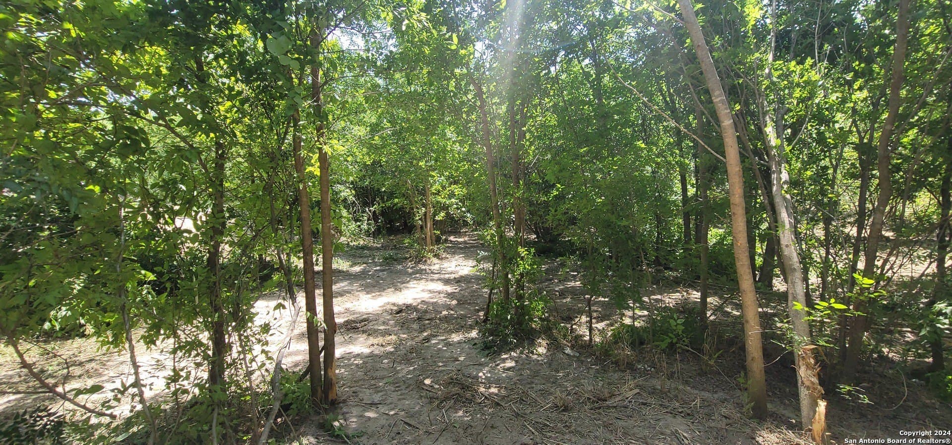 1.13 acres in Bexar County gallery image 2