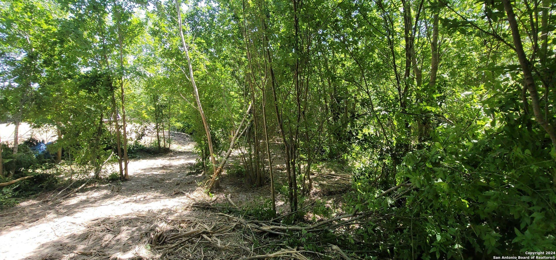 1.13 acres in Bexar County gallery image 3