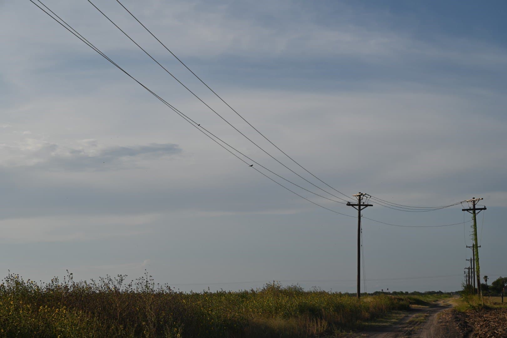 40 acres in Cameron (TX) County - photo 9