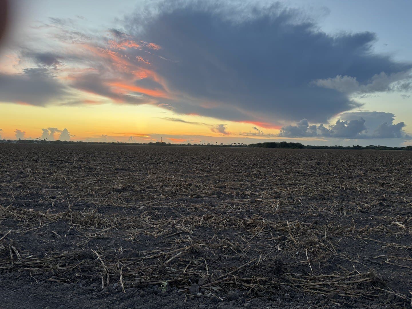 40 acres in Cameron (TX) County - photo 10