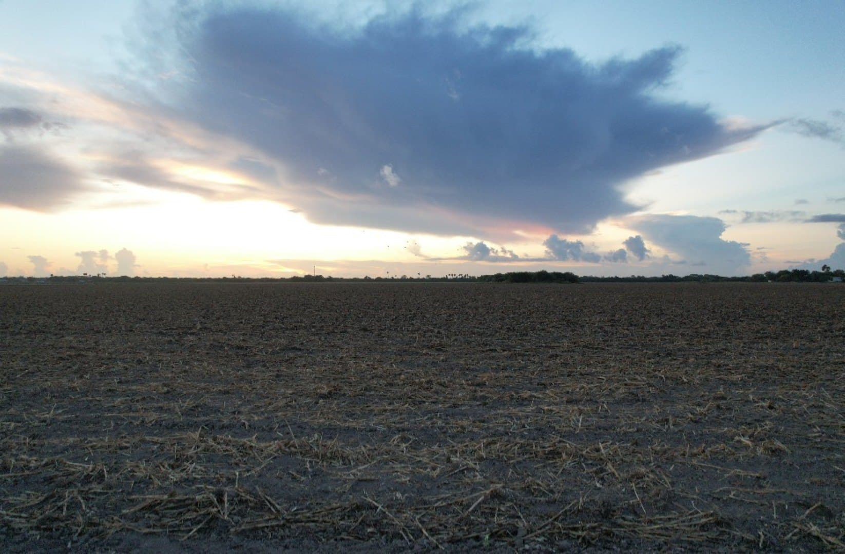 40 acres in Cameron (TX) County - photo 2