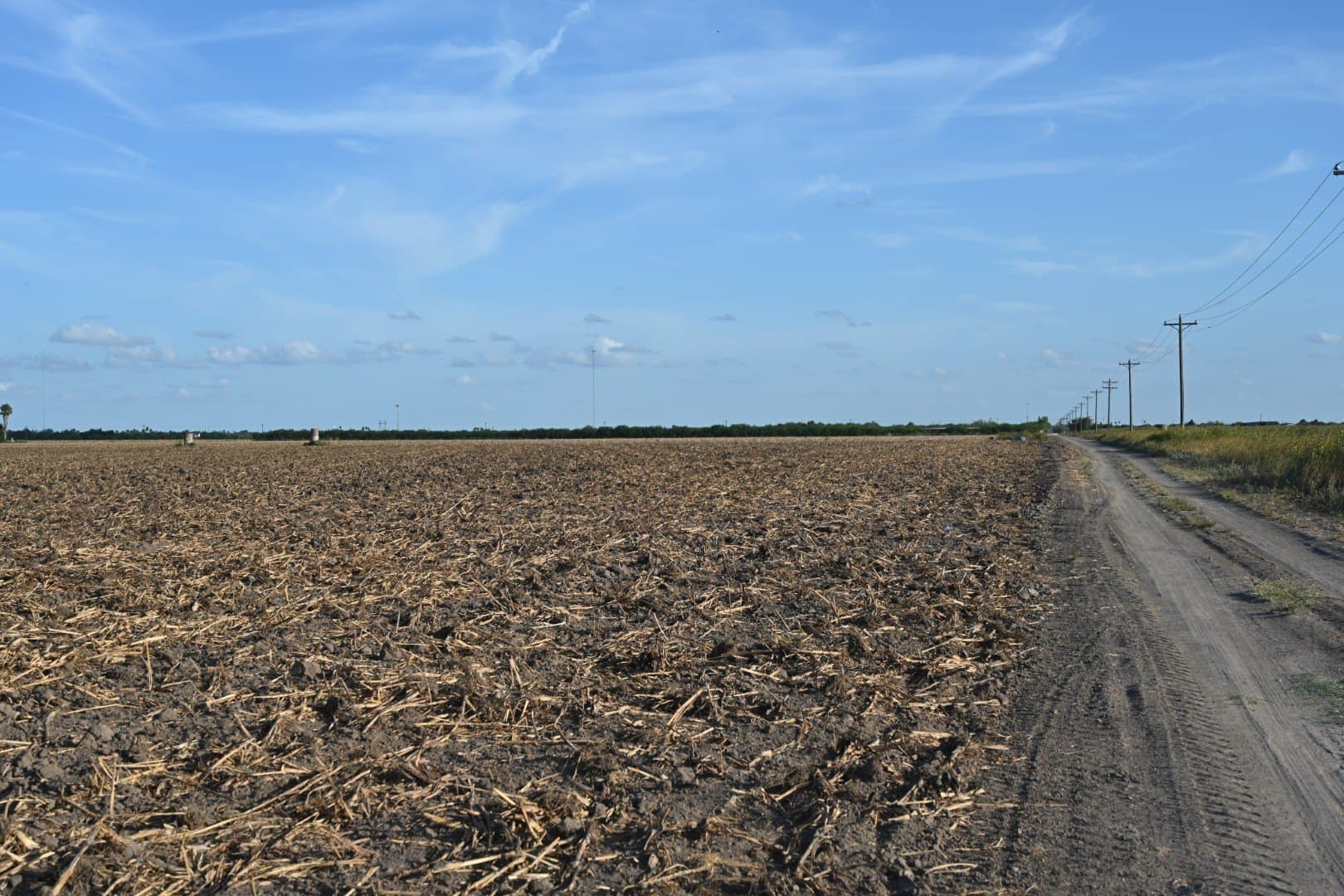 40 acres in Cameron (TX) County - photo 7