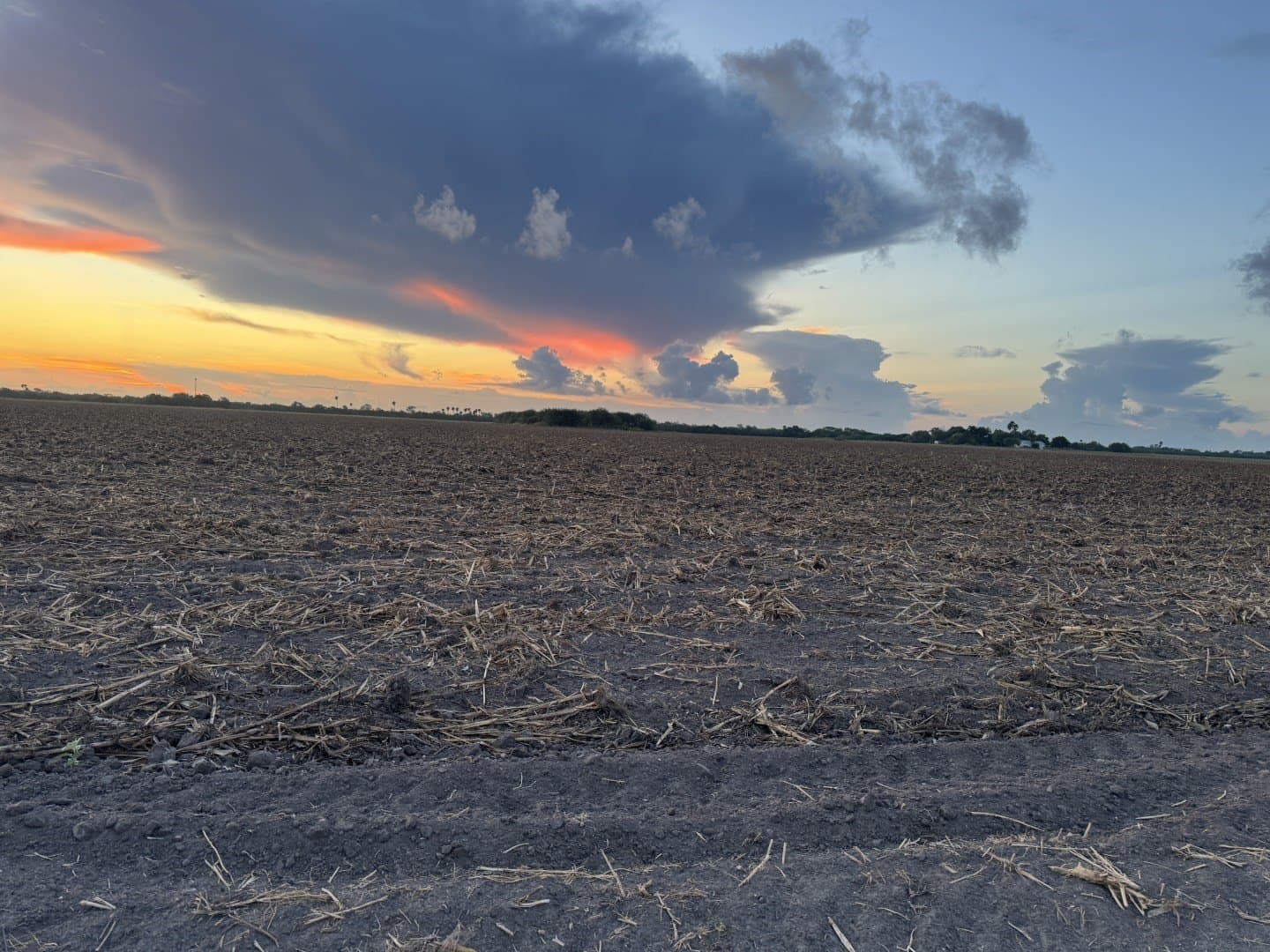 40 acres in Cameron (TX) County