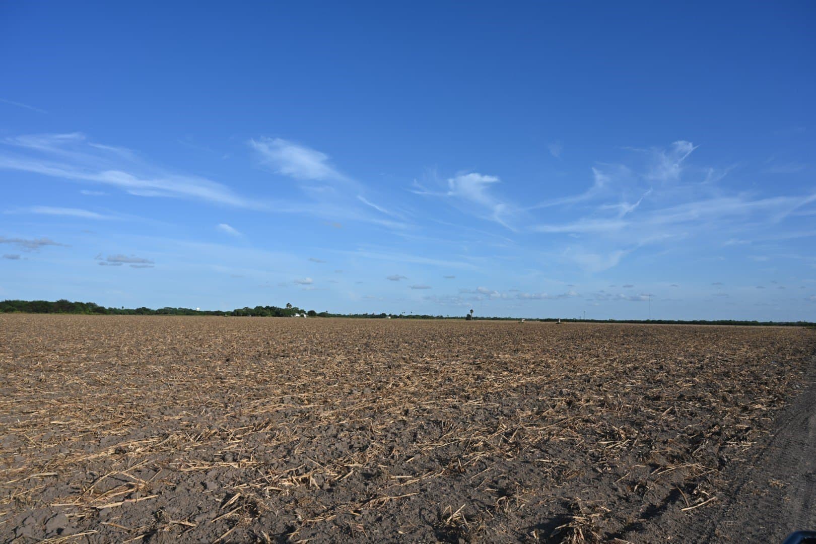 40 acres in Cameron (TX) County - photo 6