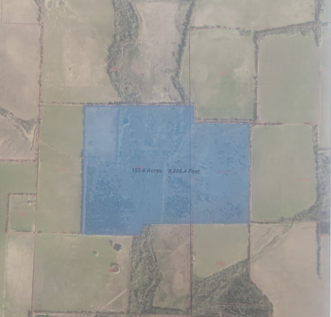 45.34 acres in Red River (TX) County gallery image 3