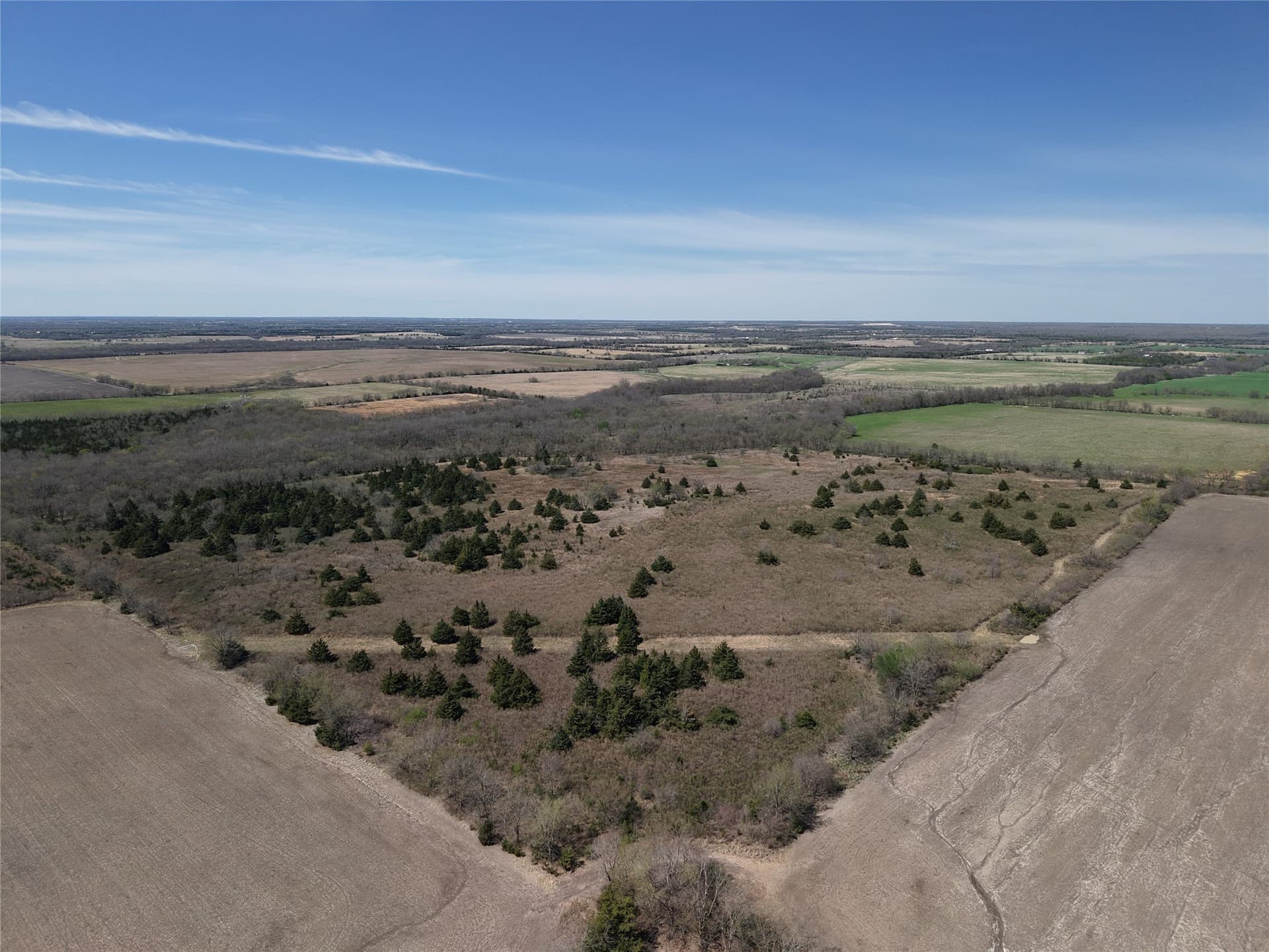 45.34 acres in Red River (TX) County gallery image 4