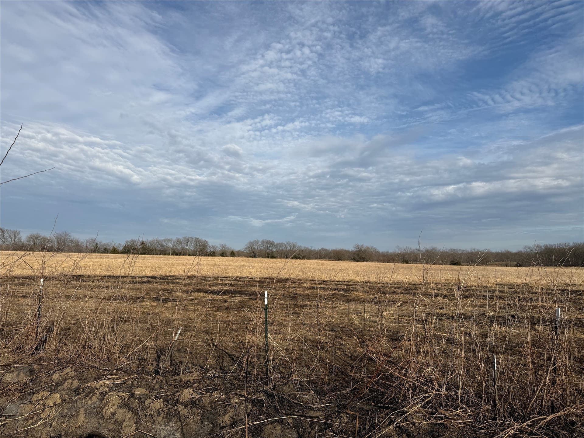 45.34 acres in Red River (TX) County gallery image 2