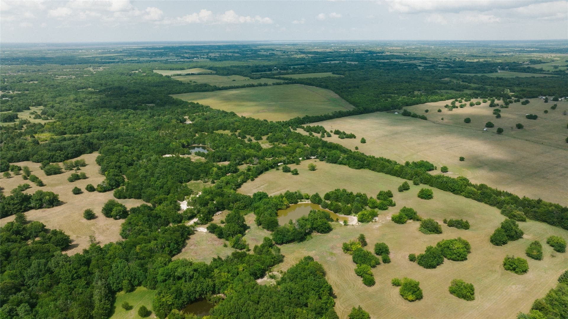 10 acres in Fannin County - photo 6