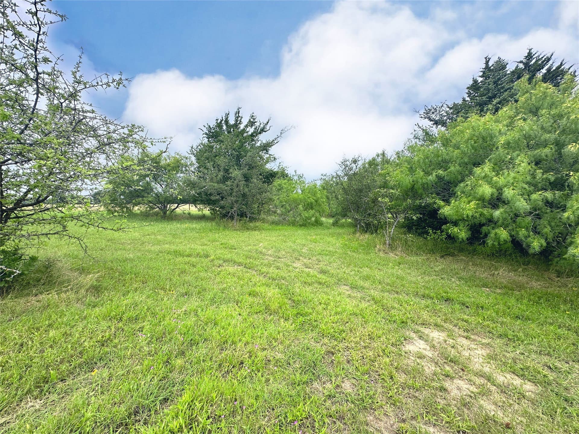 1.28 acres in Navarro County - photo 13