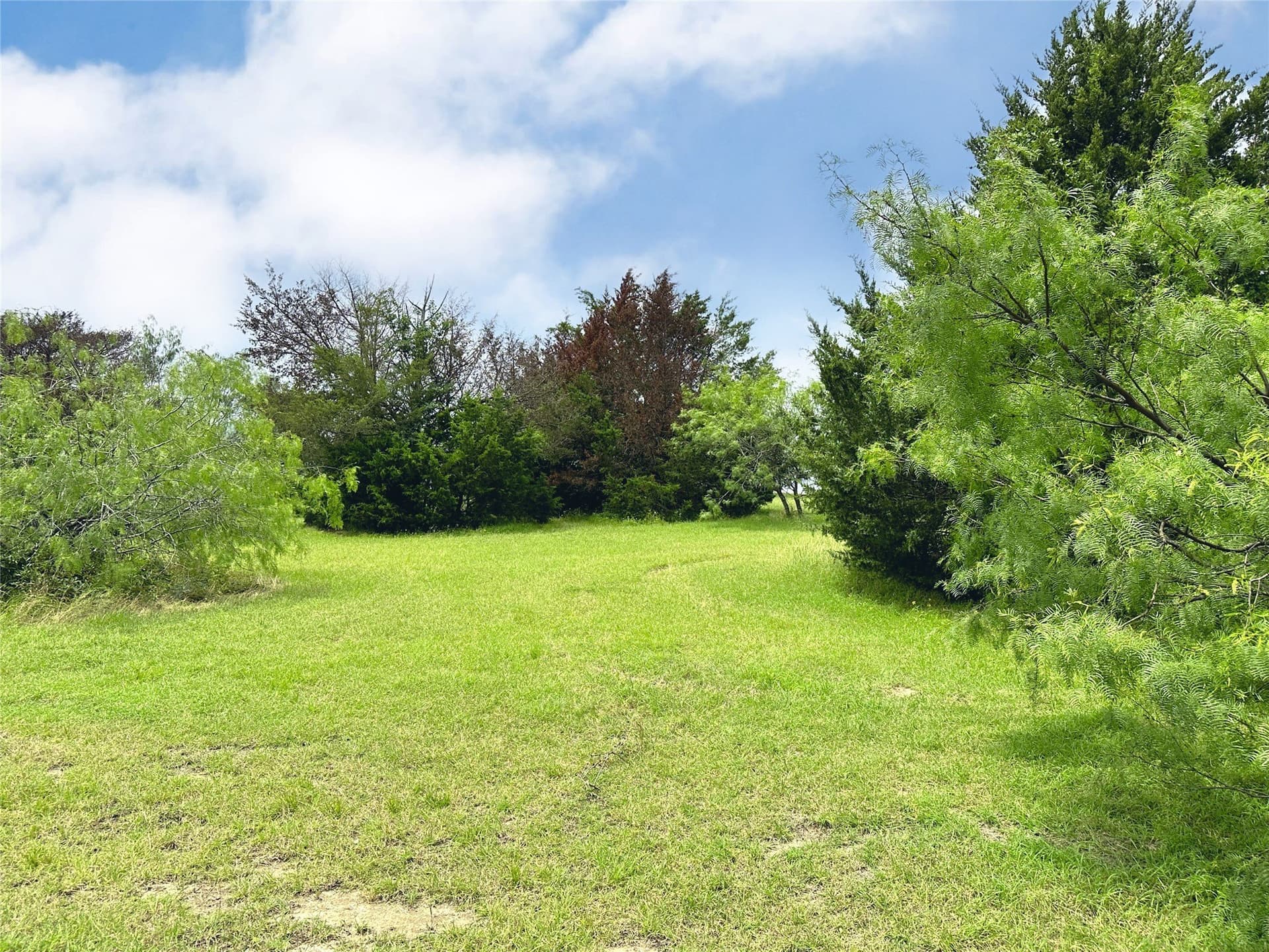 1.28 acres in Navarro County - photo 9