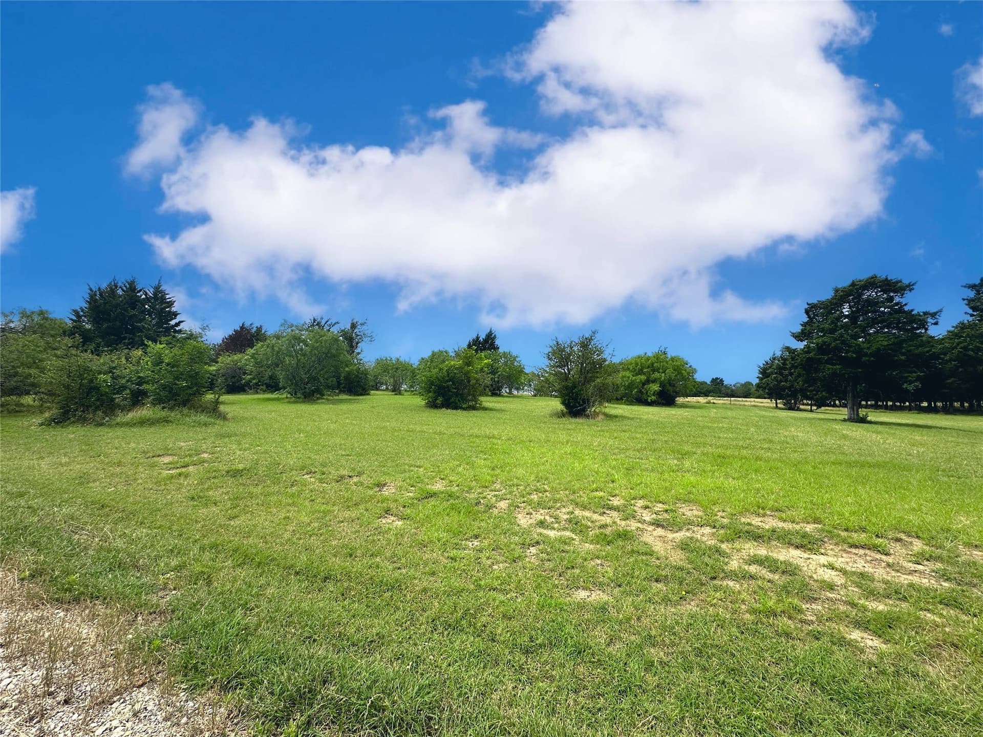 1.28 acres in Navarro County - photo 8