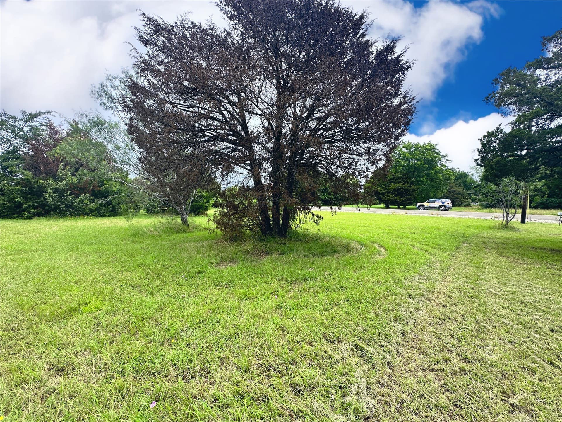 1.28 acres in Navarro County - photo 14
