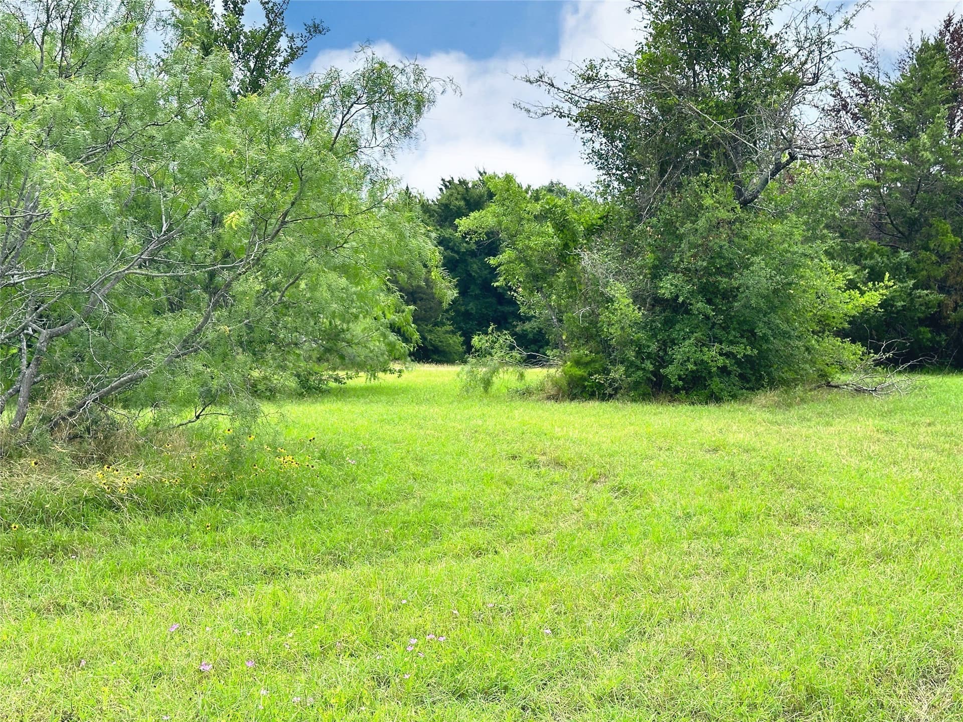 1.28 acres in Navarro County - photo 23