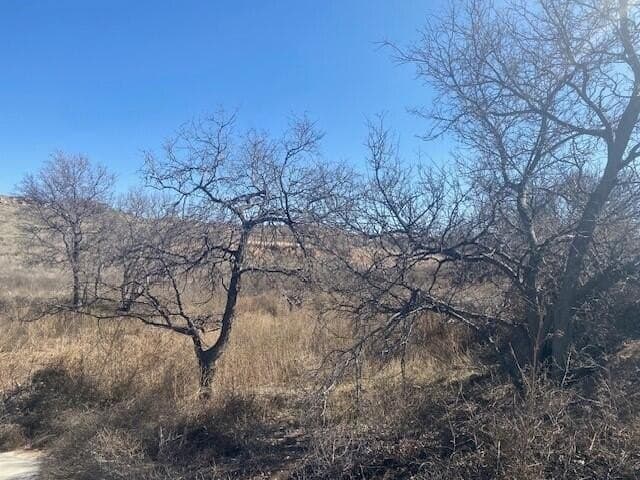 1.46 acres in Randall County gallery image 2