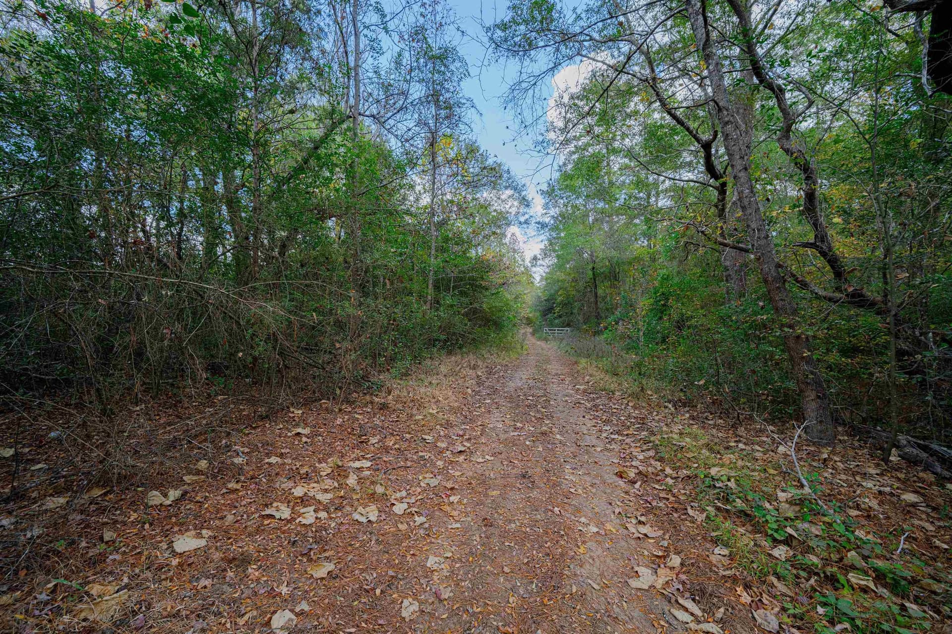 18 acres in Rusk County - photo 13