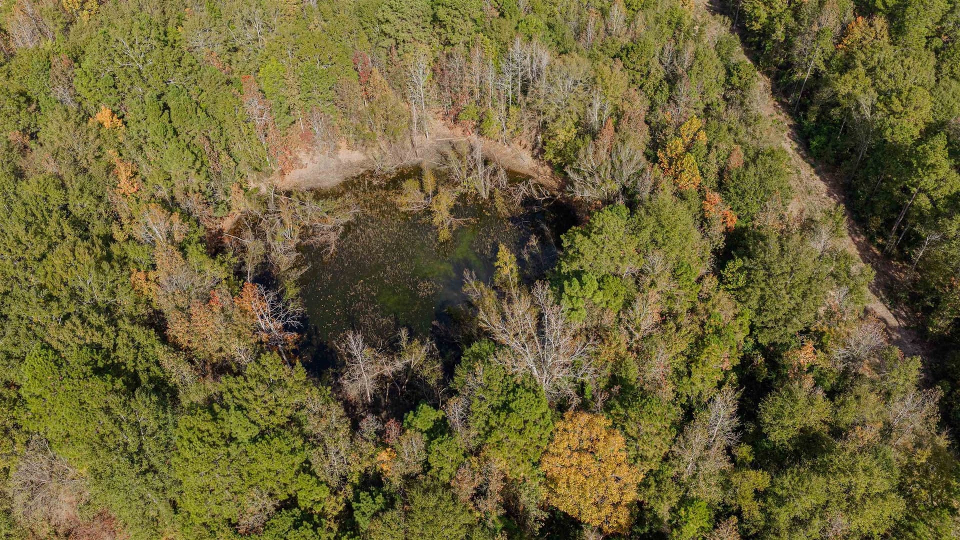 18 acres in Rusk County - photo 11