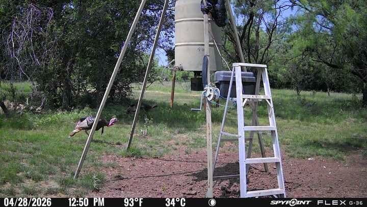76.62 acres in Callahan County - photo 25