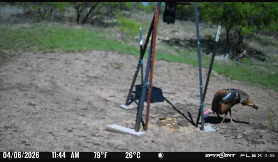 76.62 acres in Callahan County - photo 28