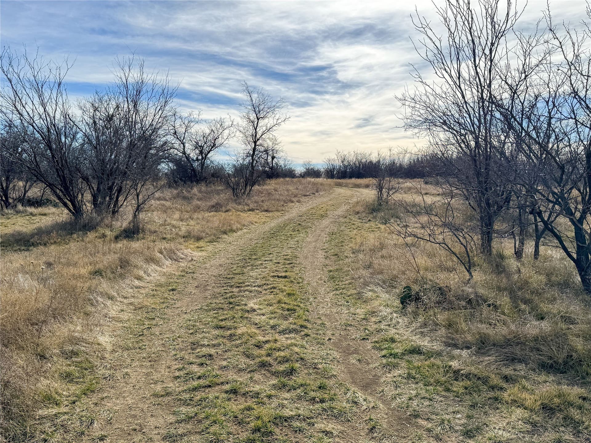 76.62 acres in Callahan County - photo 31