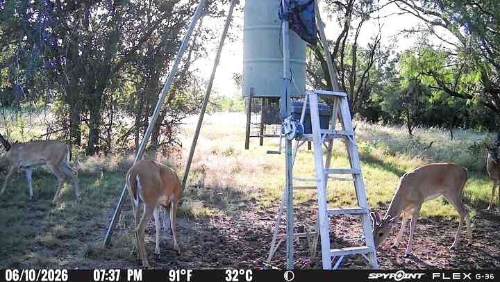 76.62 acres in Callahan County - photo 24