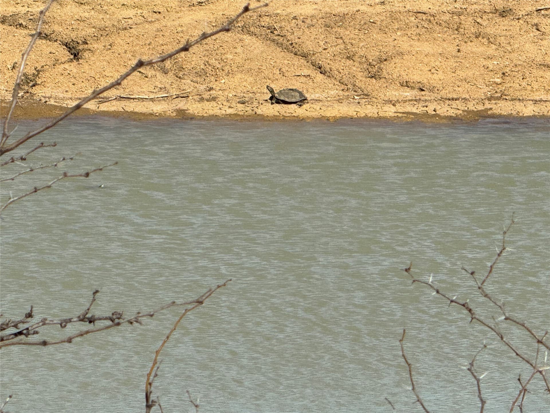76.62 acres in Callahan County - photo 12