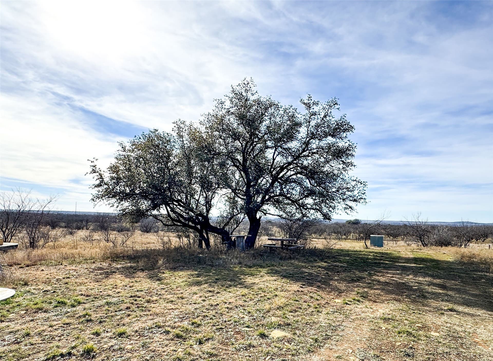 76.62 acres in Callahan County - photo 30