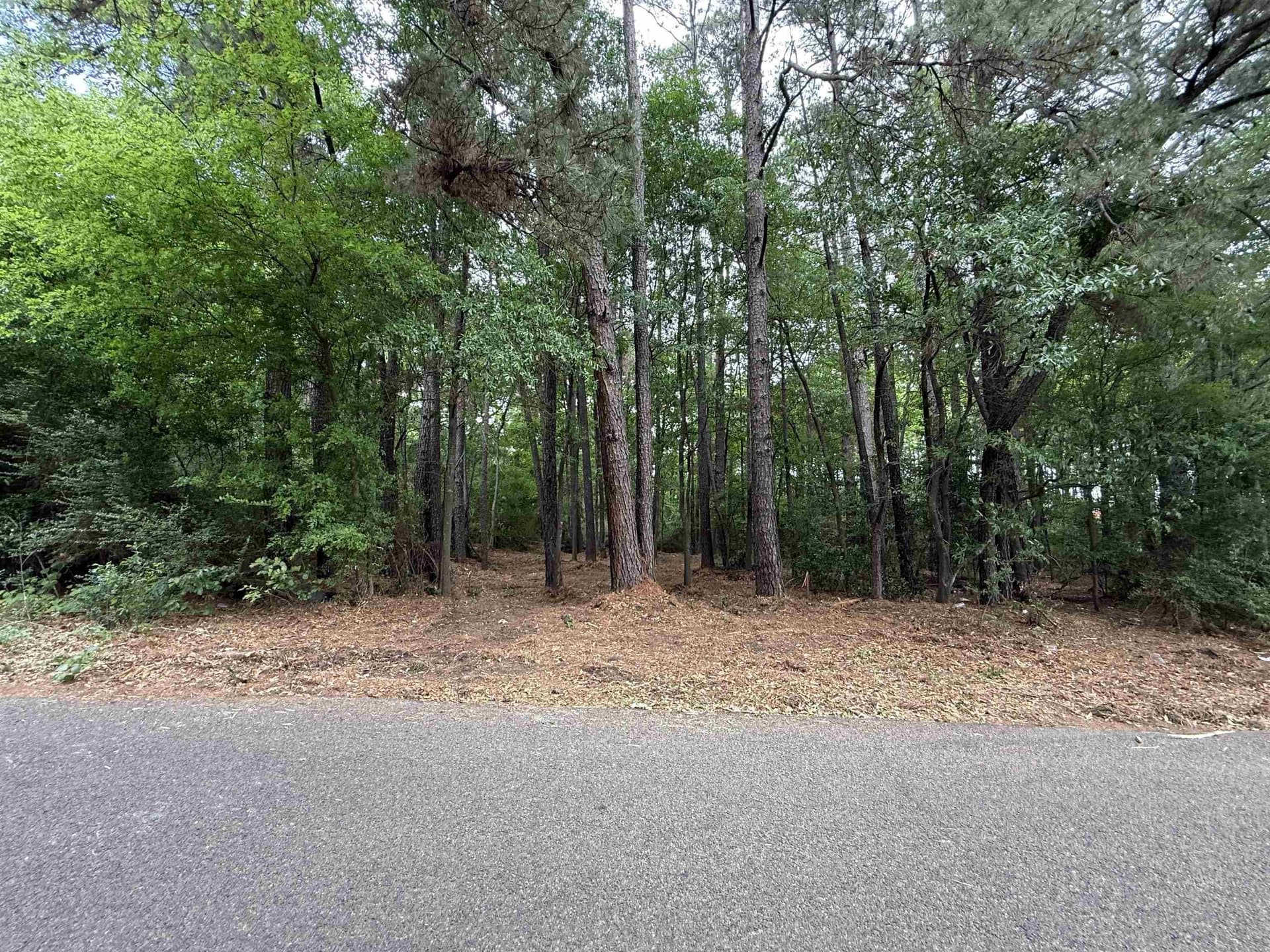 0.08 acres in Gregg County - photo 3