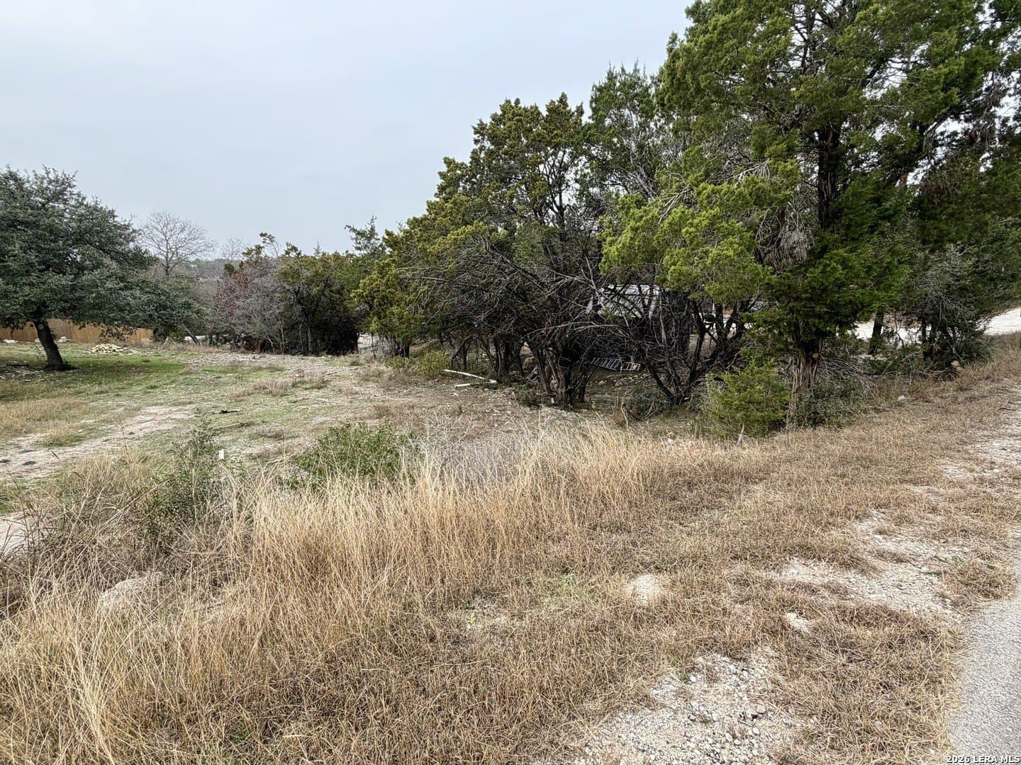 0.24 acres in Comal County gallery image 3