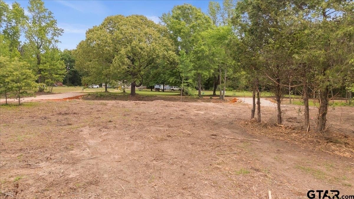 2 acres in Panola County - photo 14