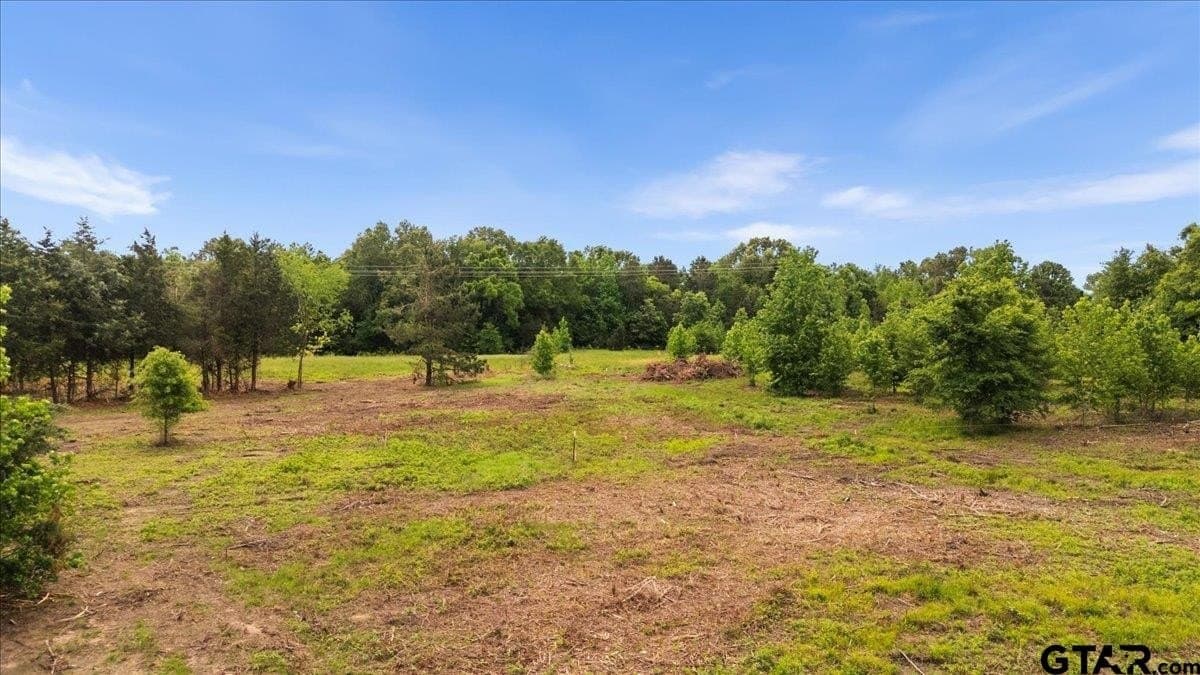 2 acres in Panola County - photo 12