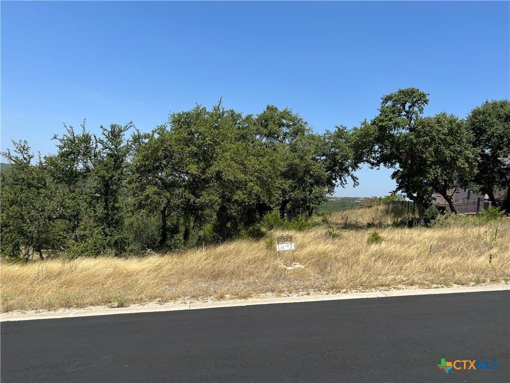 1.19 acres in Comal County - photo 12