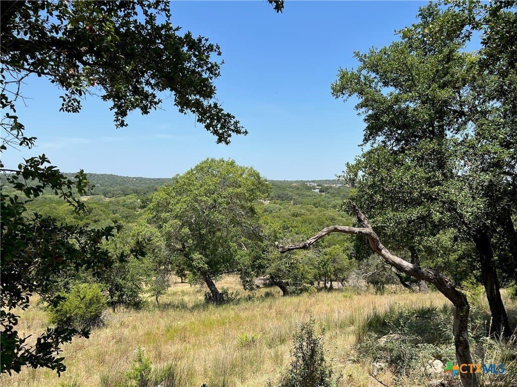 1.19 acres in Comal County - photo 4