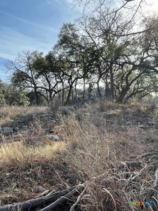 1.19 acres in Comal County - photo 9