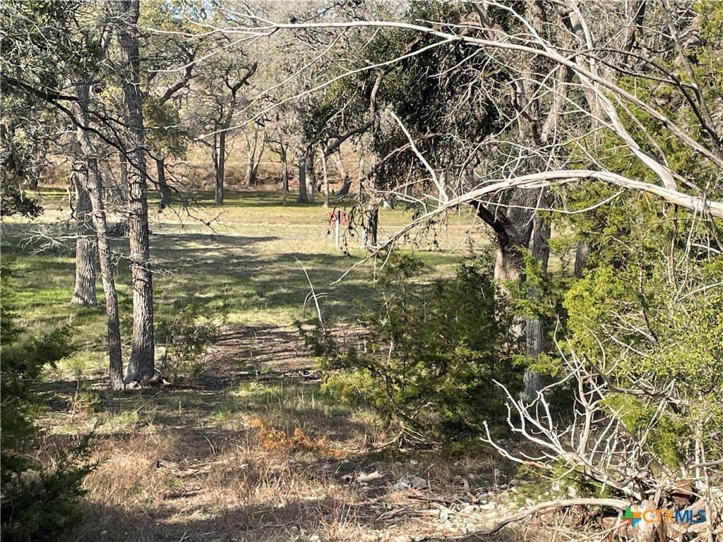 1.19 acres in Comal County - photo 7