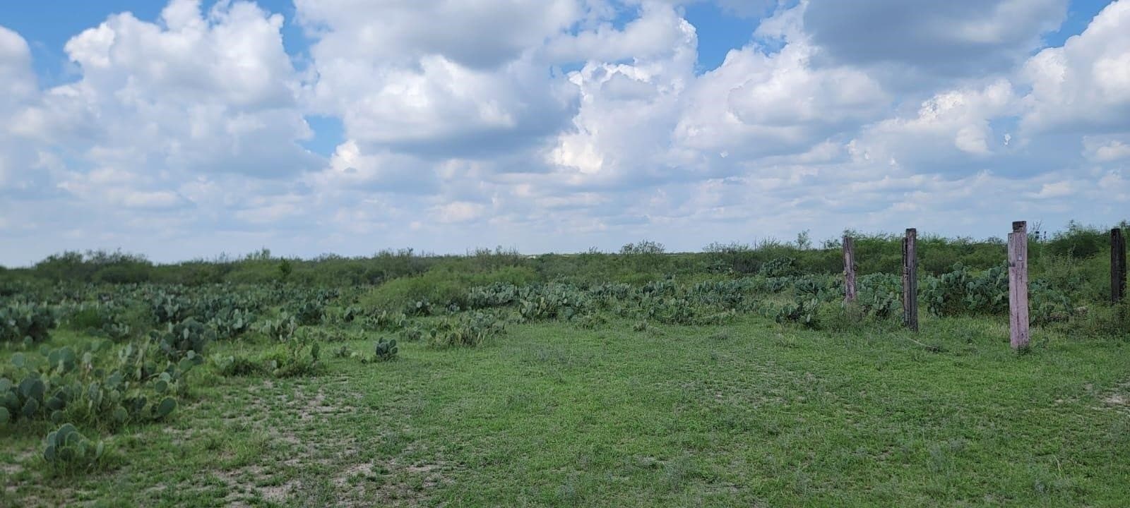4.12 acres in Webb County gallery image 4
