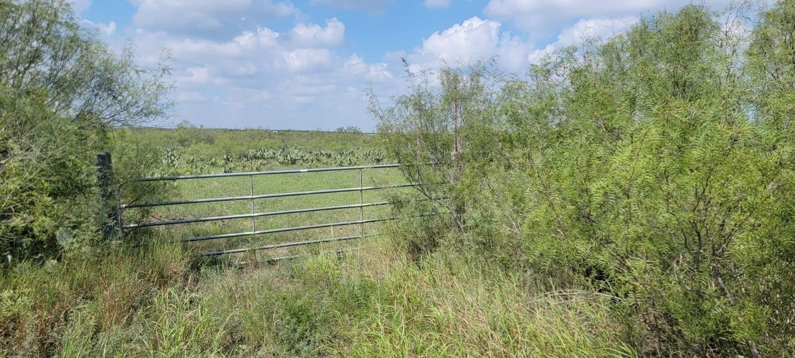 4.12 acres in Webb County gallery image 2