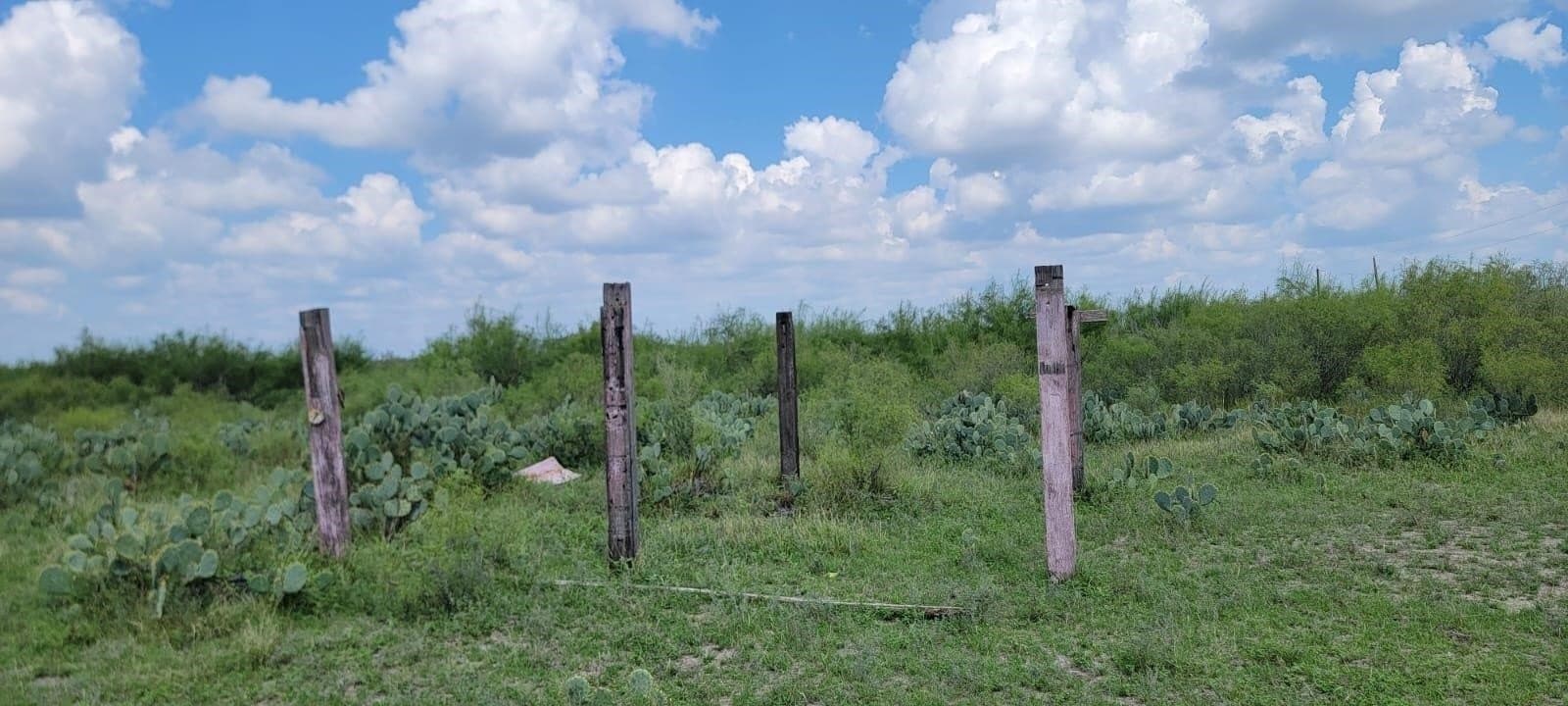 4.12 acres in Webb County featured view