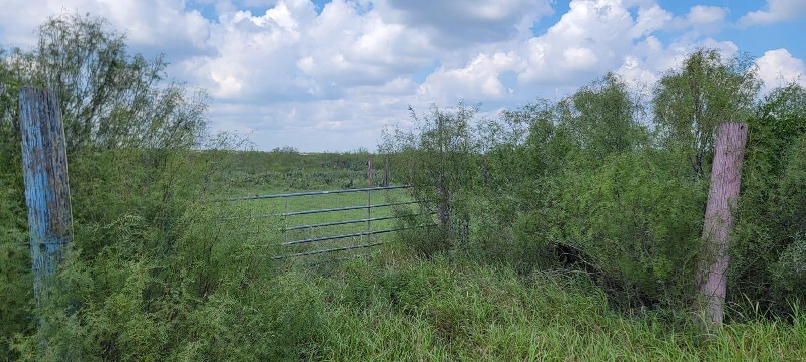 4.12 acres in Webb County gallery image 3