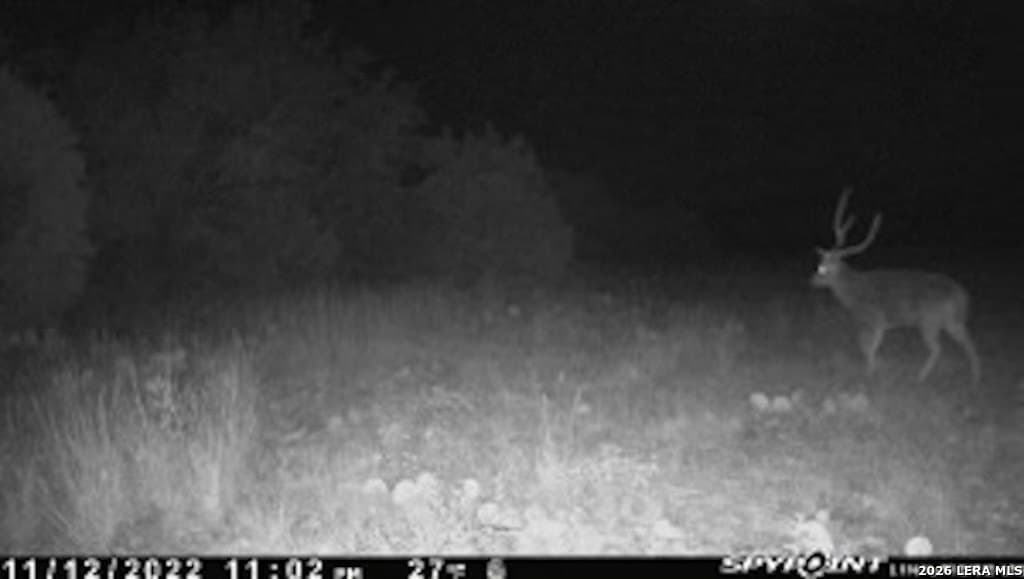 84.66 acres in Menard County - photo 9