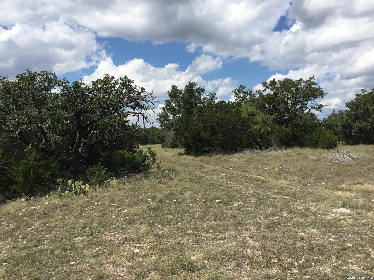 84.66 acres in Menard County - photo 6