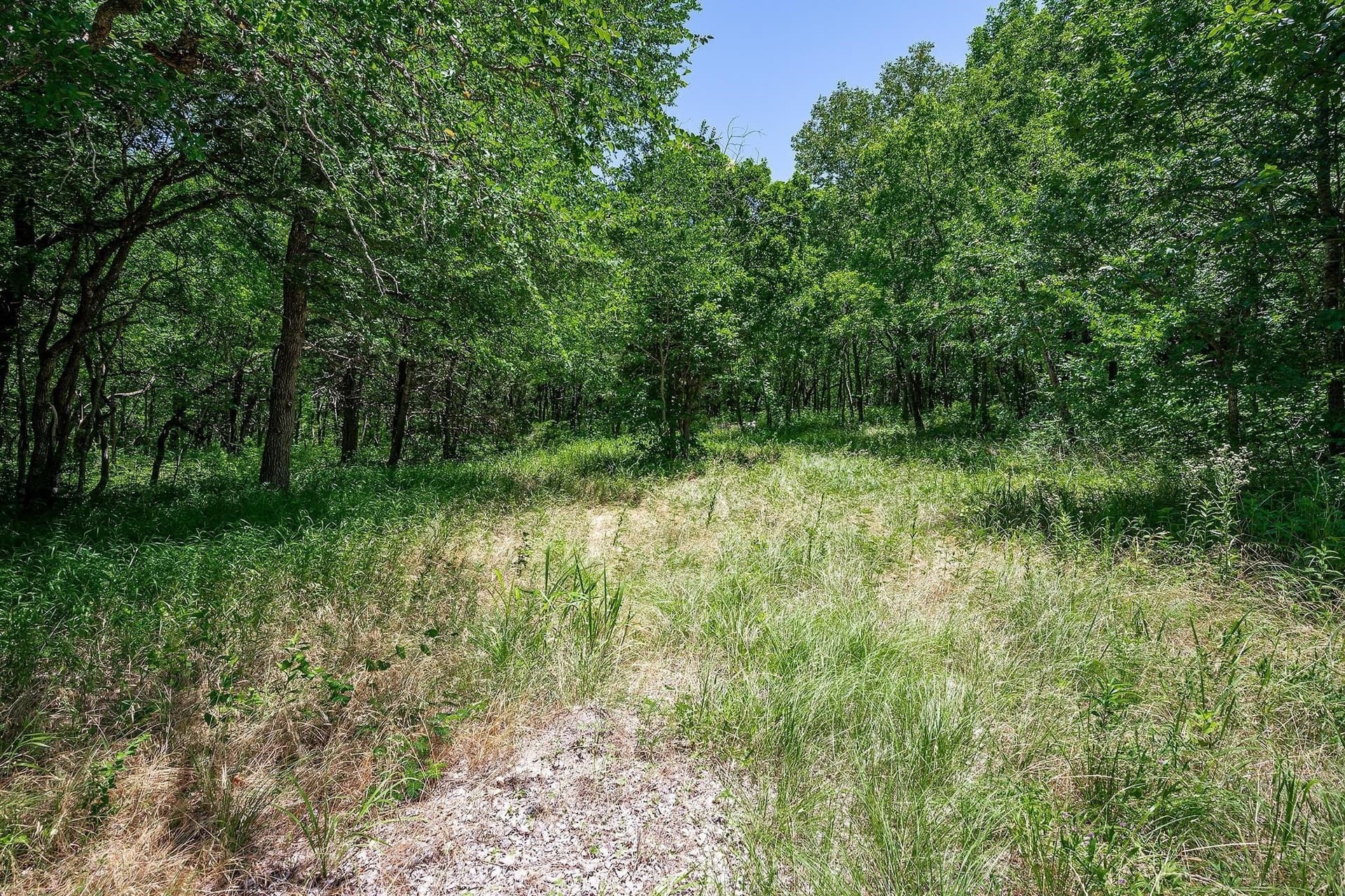 5.1 acres in Collin County - photo 2