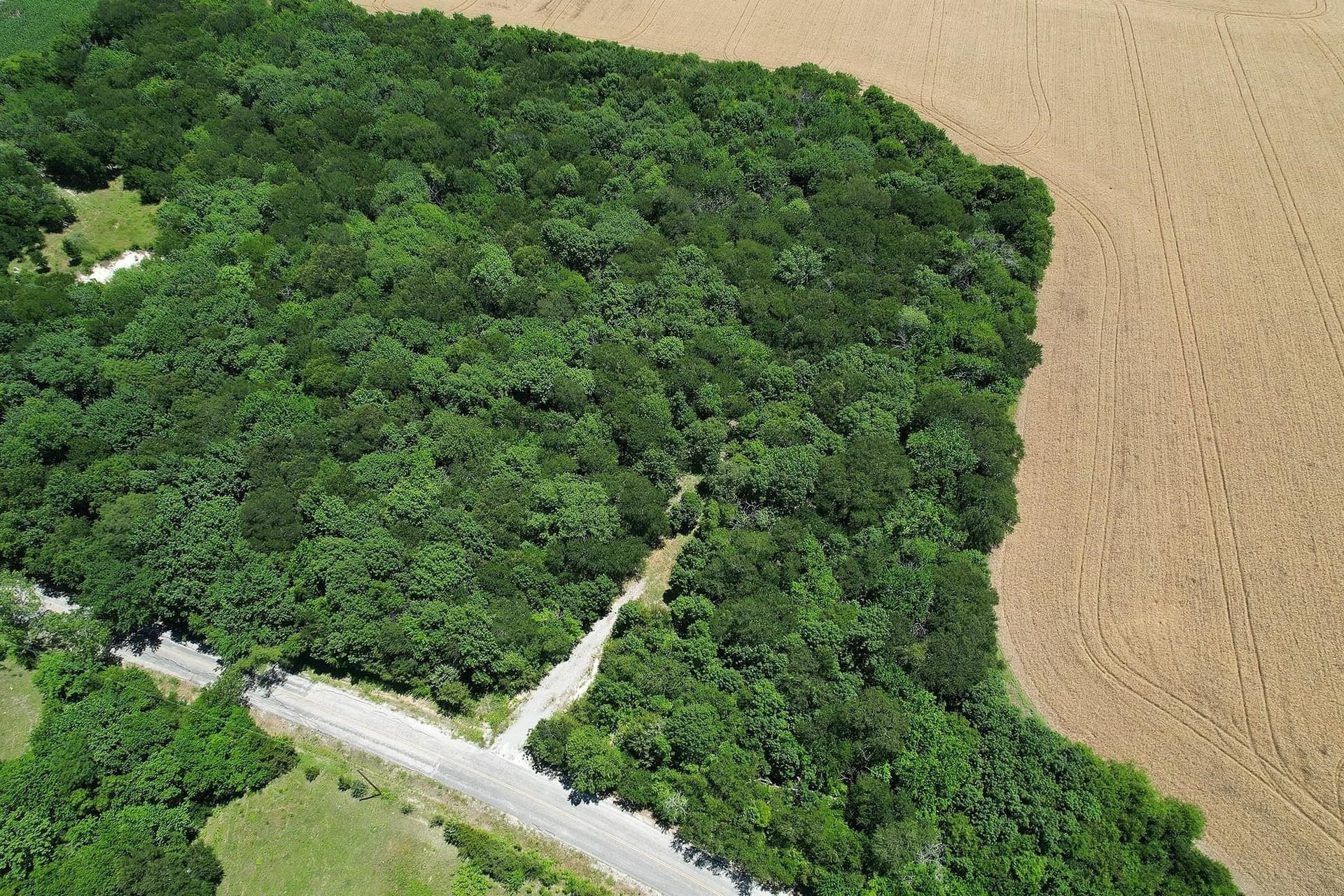 5.1 acres in Collin County - photo 4