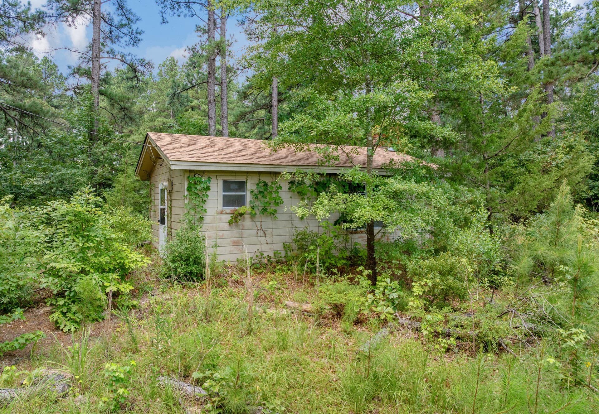 128.56 acres in Upshur County - photo 8