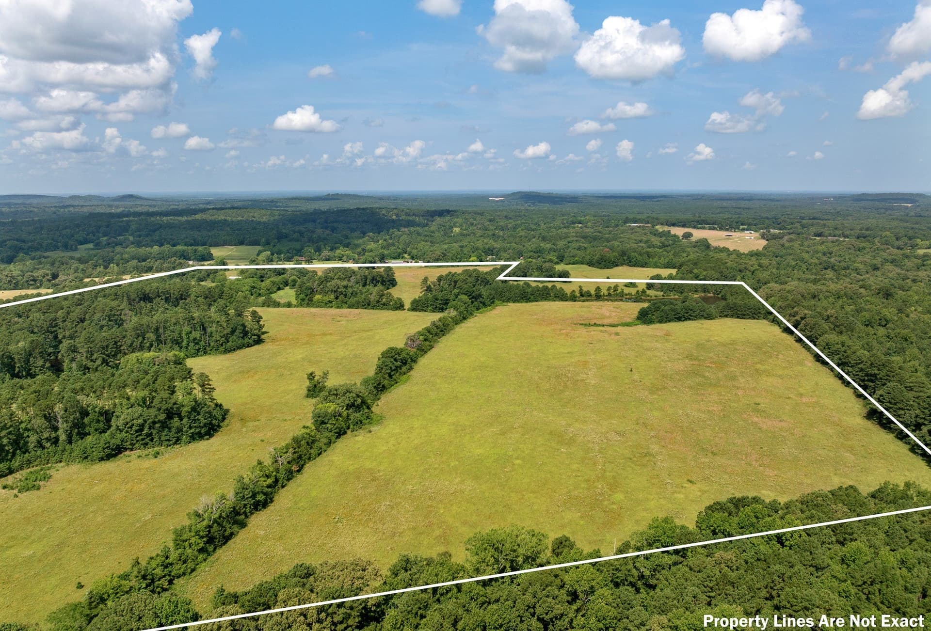 128.56 acres in Upshur County - photo 3