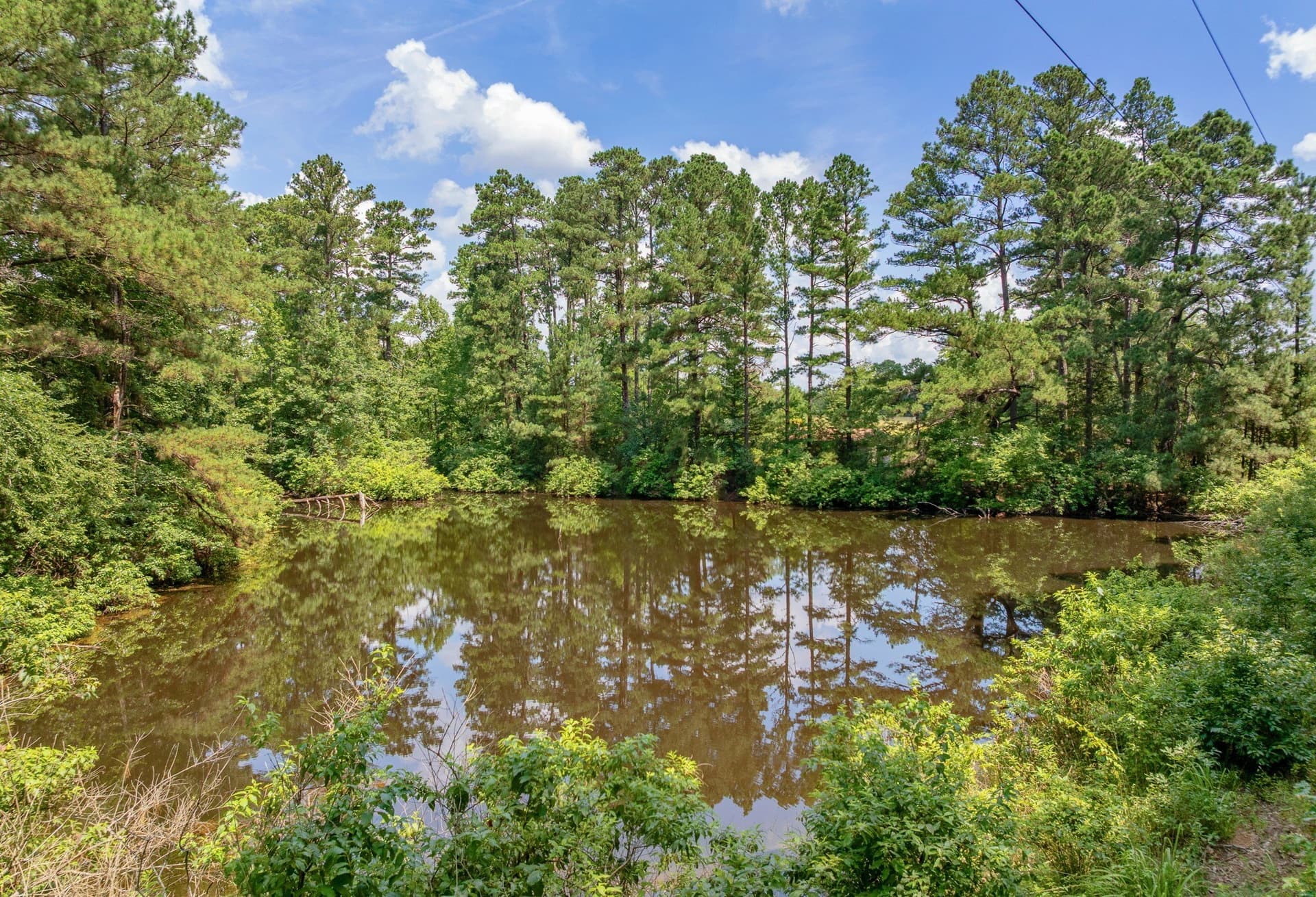128.56 acres in Upshur County - photo 13