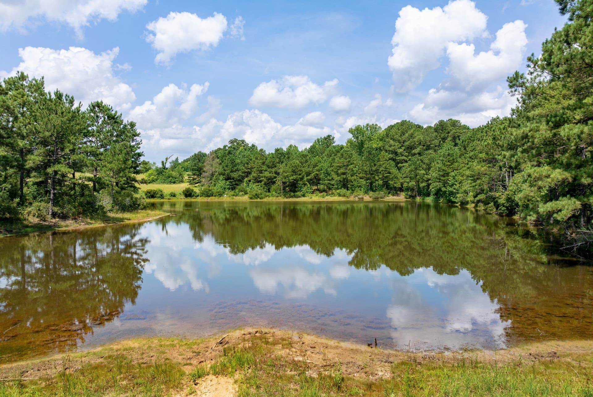 128.56 acres in Upshur County - photo 12
