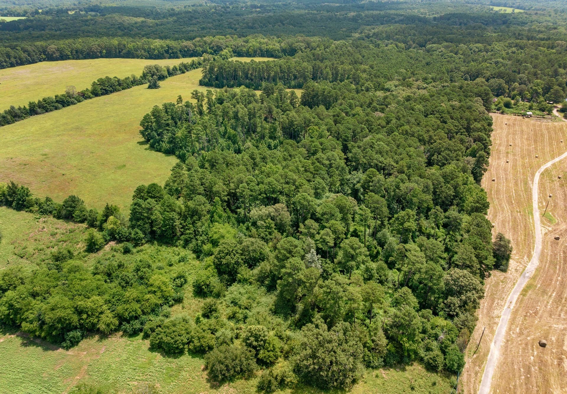 128.56 acres in Upshur County - photo 15