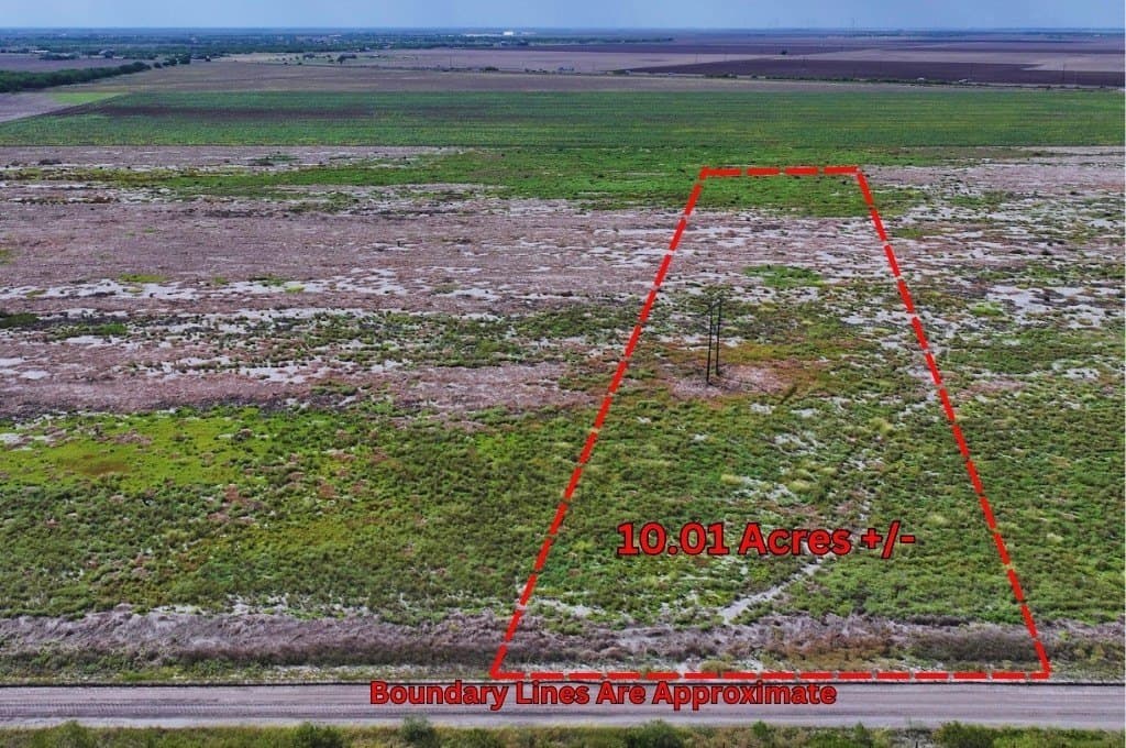 10.01 acres in San Jacinto County gallery image 2