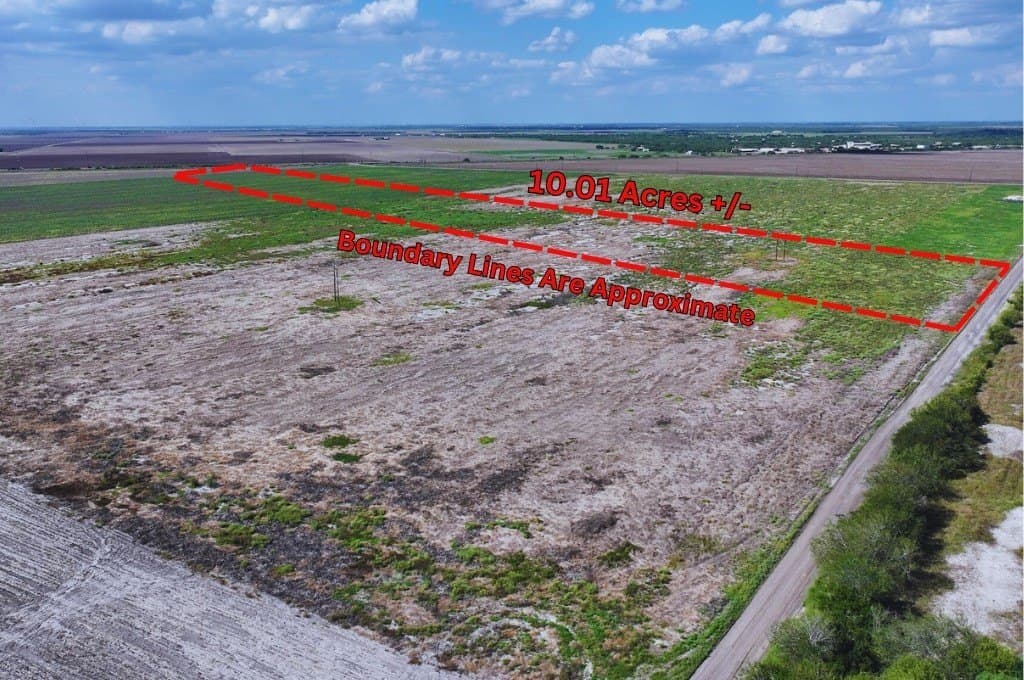 10.01 acres in San Jacinto County gallery image 3
