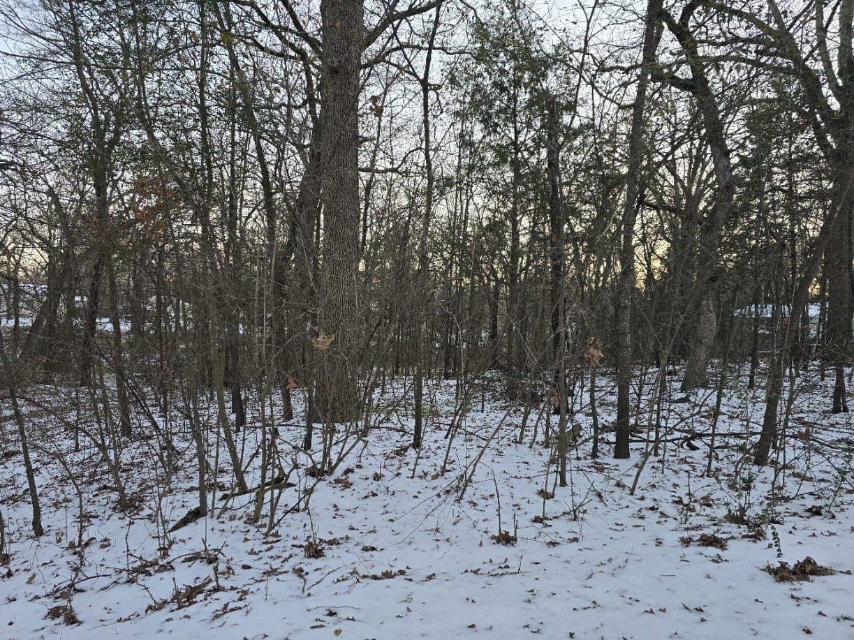 0.12 acres in Henderson County - photo 2